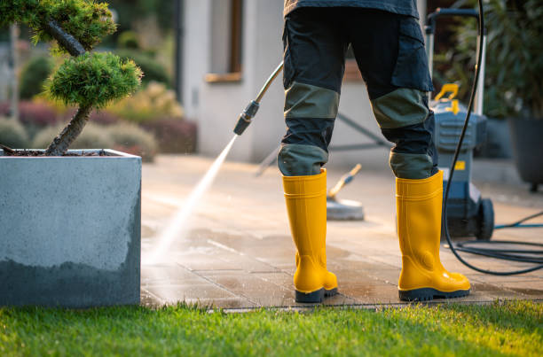 Best Roof Power Washing Services  in West Wyomissing, PA